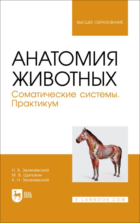 Анатомия животных. Соматические системы. Практикум. Учебное пособие ...