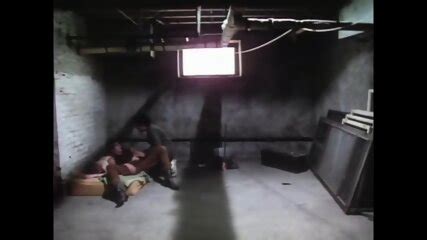 The Sex Boutique Usa Sharon Mitchell Joanna Storm