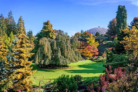 Queen Elizabeth Park Photos: the Beauty of Nature and History