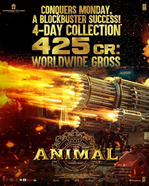 Animal 4 days total box office collections - TrackTollywood