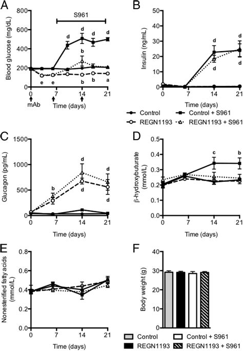 Glucagon Receptor Inhibition Normalizes Blood Glucose In Severe Insulin