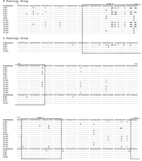 Alignment Of Por Nucleotide Sequences From Female Members Of 17 Sex