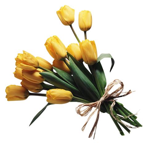 Flower Bouquet Png Images