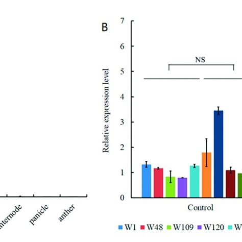 Expression Analysis Of The Candidate Gene Locos04g50680 A