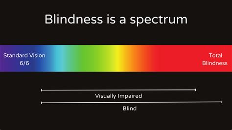 Blindness Is A Spectrum Understanding Sight Loss Realsam