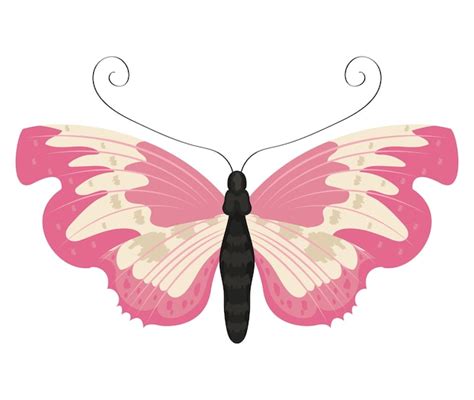 Schönheit rosa schmetterling insekt symbol Premium Vektor