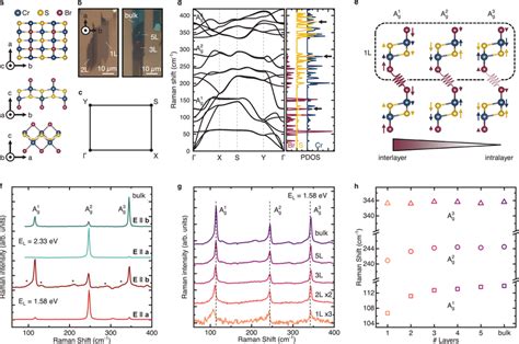 Phonons and interlayer vibrational coupling in CrSBr. a) Schematic... | Download Scientific Diagram