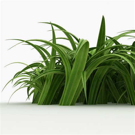 Трава листья 2 3D Модель $9 - .max .fbx .obj - Free3D