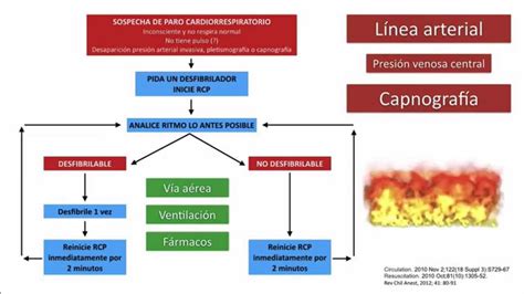 Reanimaci N Cardiopulmonar Avanzada En Minutos Youtube