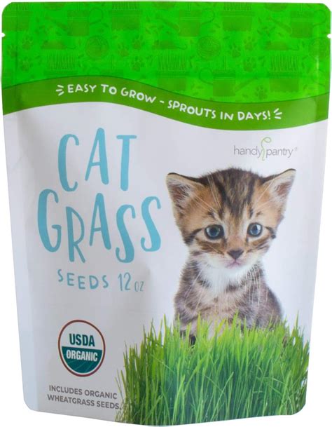 Certified Organic Cat Grass Seeds By Handy Pantry Non Gmo Wheatgrass Seeds For