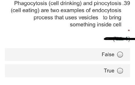 Answered Phagocytosis Cell Drinking And Bartleby