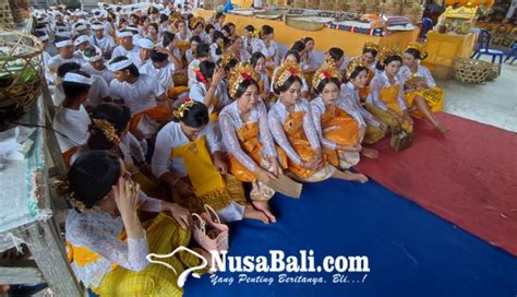 NUSABALI Ratusan Krama Ikuti Metatah Massal Di Banjar Sekarmukti