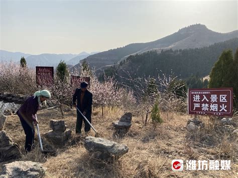 “千里眼”“顺风耳”帮忙，青州筑牢森林“防火墙” 潍坊新闻 潍坊新闻网