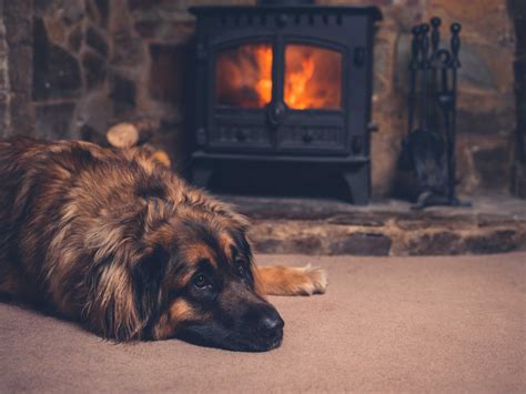 Verwarm Je Huis Tijdens De Koude Winterdagen Met De Juiste Houtkachel