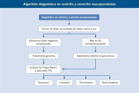 Elaborar Un Cuadro Sinóptico Con Todos Los Agentes Causantes De Las Infecciones Brainlylat