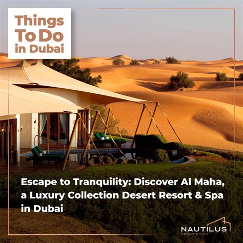 Thingstodoindubai Al Maha Desert Resort And Spa A Luxurious Oasis Amidst Dubai S Desert