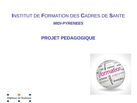 PDF PROJET PEDAGOGIQUE Ecoles Instituts Chu Toulouse Fr PROJET