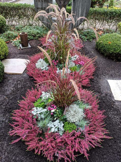 Winterharte Bodendecker Fur Friedhof Eine Sammlung Schoner Blumenbilder