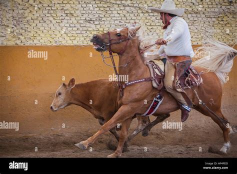 A Charreada Mexican Rodeo At The Lienzo Charro Zermeno Guadalajara