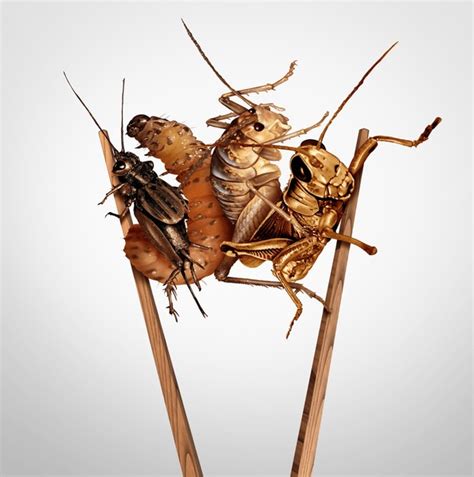 442 Cricket Fork Images, Stock Photos, 3D objects, & Vectors | Shutterstock