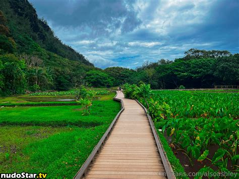 AlsoAshley AlsoAshleyB AshleyBarron Nude OnlyFans Photo 231 Nudostar TV