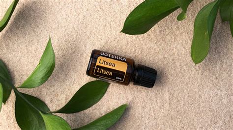 Litsea Oil Uses and Benefits | Product Spotlight | dōTERRA Essential Oils
