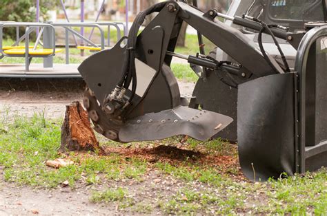 Why Stump Grinding Is Important? — Clear View Tree Services