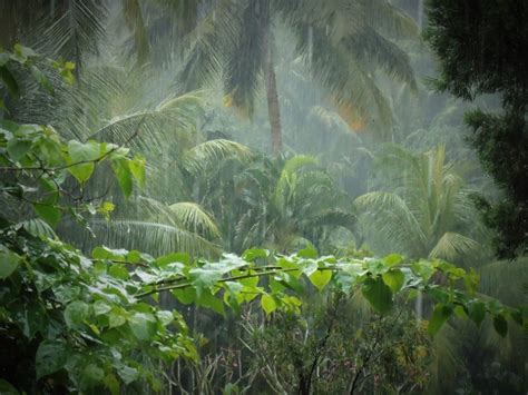 Pouring rain: ­An Indonesian inspiration for more time-outs in our
