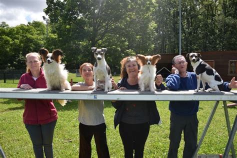 Les chiens du club canin de Joigny visent le podium par équipe dans ce