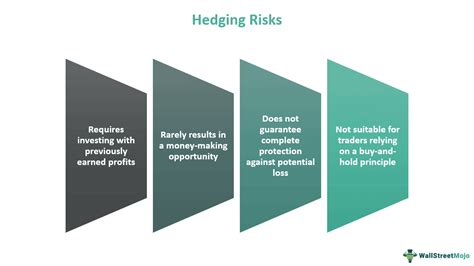 Hedge Meaning Strategies Risks Examples How It Works