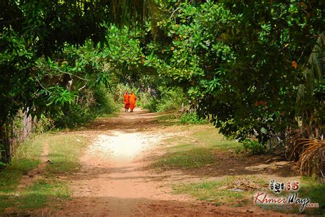 Cambodia tour Kulen mountain national park motorbike scooter nature