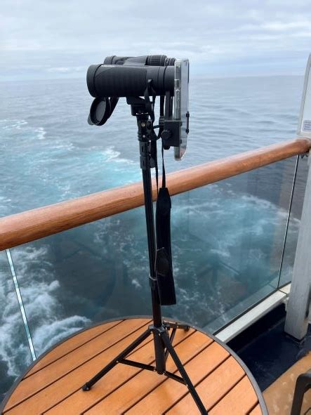 Top 4 Best Binoculars For Whale Watching In Alaska He Works So I Travel