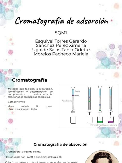 Cromatografía De Adsorción Pdf Cromatografía Sustancias Químicas