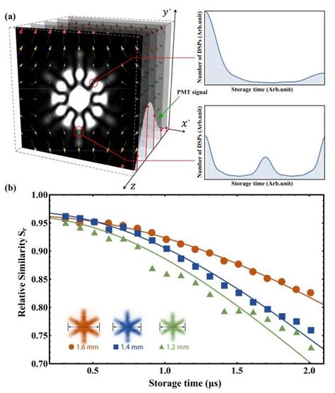 Theoretic Simulations A The Localized Inhomogeneous Magnetic Field