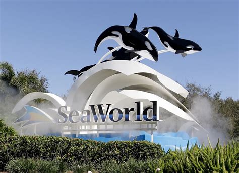 SeaWorld Orlando | Killer Whale Wiki | Fandom