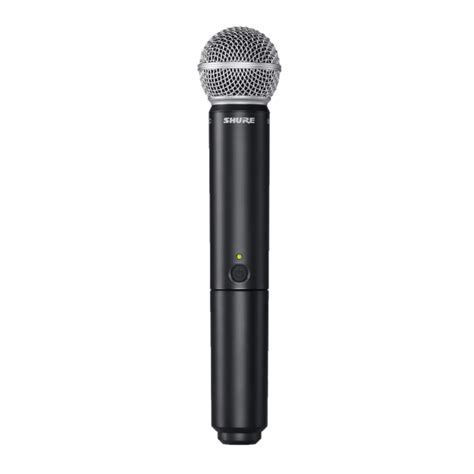 Shure BLX288/SM58 Dual Channel Wireless Handheld Microphone System ...