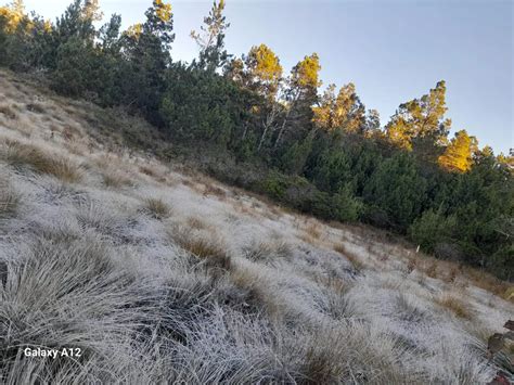 Valle Nuevo Se Registra Temperatura De Celsius