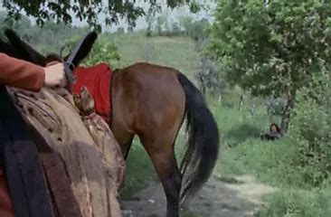 Fairy Tales 1978 Coed Retro Porn By New City Coeds XHamster