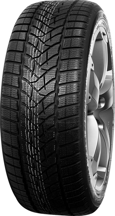 Dunlop Winter Sport 5 SUV 255/55 R19 111V - Dove acquistare ...