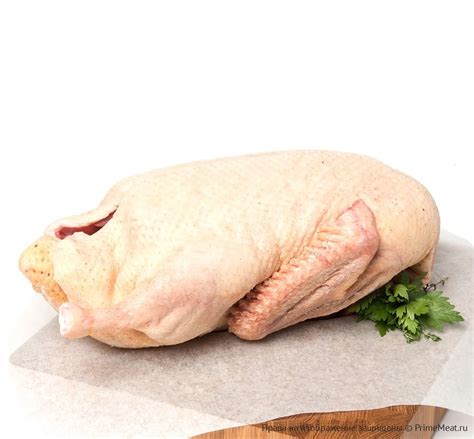Купить мясо утки домашней в Москве с доставкой: лучшая цена в PrimeMeat