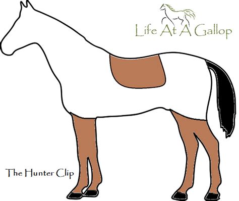 Horse Clipping Styles | Life At A Gallop | Equestrian Blog Cheshire