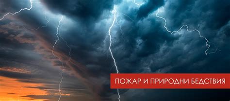 OZOK инс