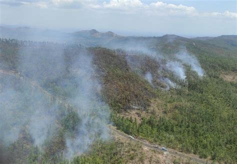 Más De 100 Hectáreas Fueron Afectadas Por Incendio En Importante