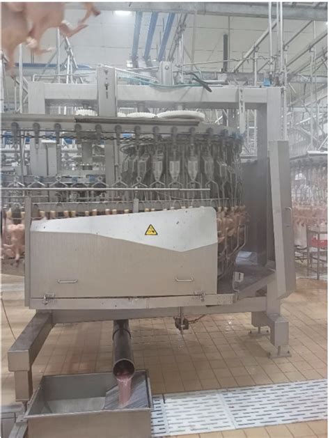 Poultry Processing Equipment Stork Automatic Evisceration Line 8000 Birds Per Hour