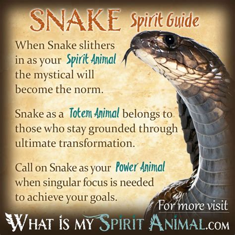 Snake Symbolism & Meaning | Spirit, Totem & Power Animal in 2020