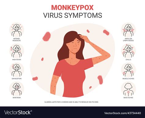 Banner With Monkeypox Virus Symptoms Royalty Free Vector