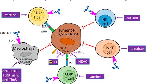 Figure From Pd Pd L Blockade Therapy For Tumors With Downregulated