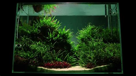 Altitude Aquascape By James Findley The Making Of YouTube