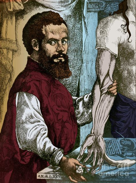 Andreas Vesalius Flemish Anatomist Photograph By Science Source