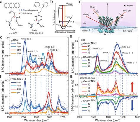 Direct Observation Of Long Range Chirality Transfer In A Self Assembled